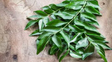 garnishing-instructions-image